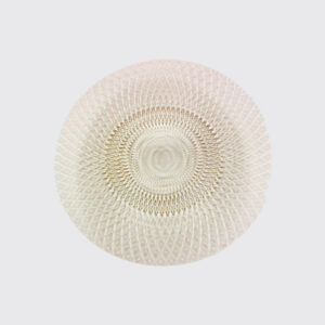 Elegant plate, light gold color, viceregal style