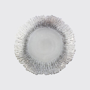 Elegant and modern transparent plate