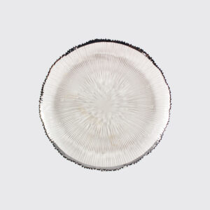 Modern and elegant linear ripped white plate